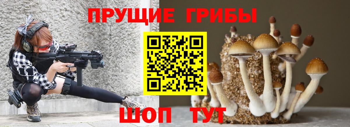 Карпинск  цена наркотик  Вход с VPN  Галлюциногенные грибы прущие грибы 